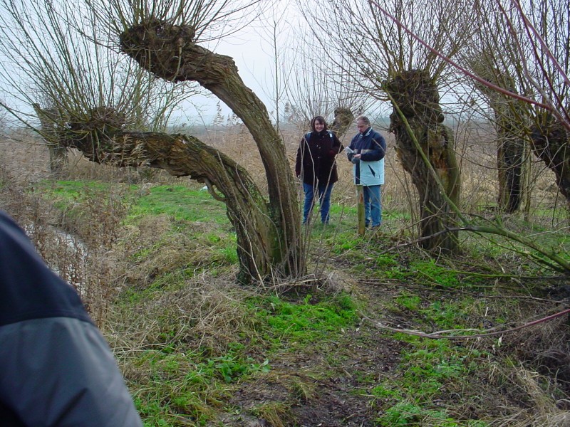 ../Images/DSC04775.jpg