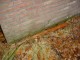 Thumbs/tn_DSC08322.jpg