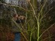 Thumbs/tn_DSC08332.jpg