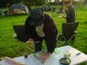 Thumbs/tn_DSC07775.jpg