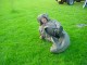 Thumbs/tn_DSC07786.jpg