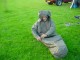Thumbs/tn_DSC07788.jpg