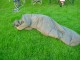 Thumbs/tn_DSC07790.jpg