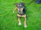 Thumbs/tn_DSC07793.jpg