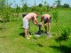 Thumbs/tn_DSC07825.jpg