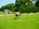 Thumbs/tn_DSC07845.jpg
