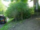 Thumbs/tn_DSC03126.jpg