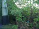 Thumbs/tn_DSC03129.jpg